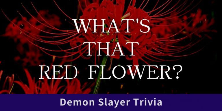 What’s The Name of Red Flowers in Demon Slayer and Its Meaning?