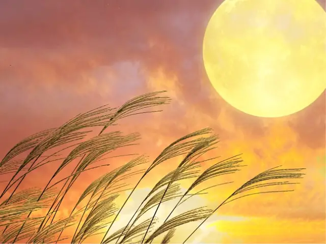 picture: beautiful moon and dawn sky