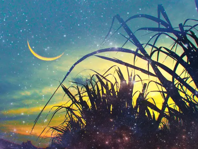picture: beautiful crescent moon