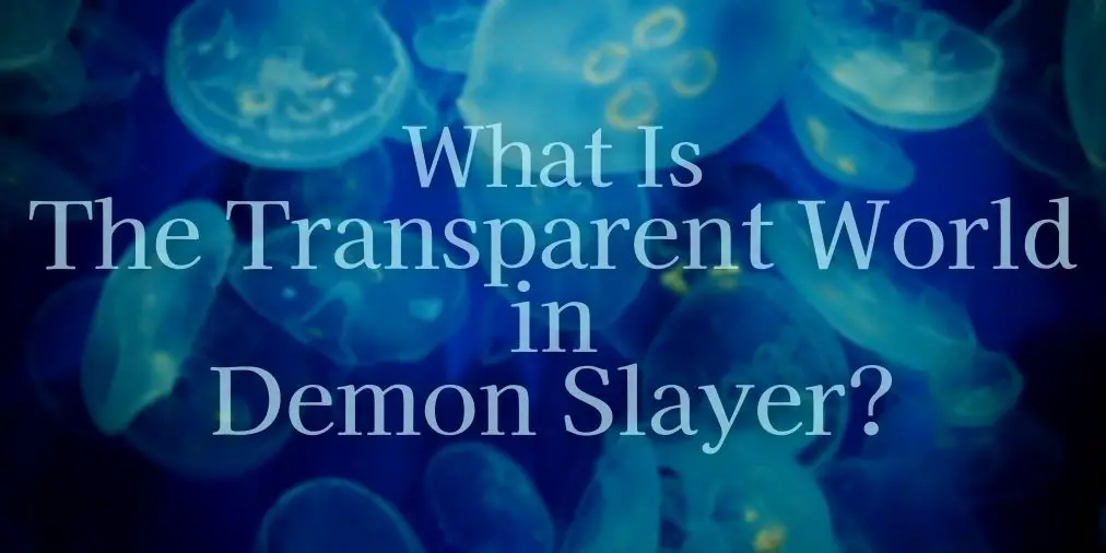 what is the transparent world in demon slayer?